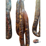 39c31c996c8efeaf3511f2e1649424d1