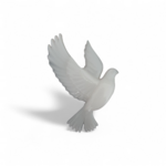 20230704-154117-2-photoroom