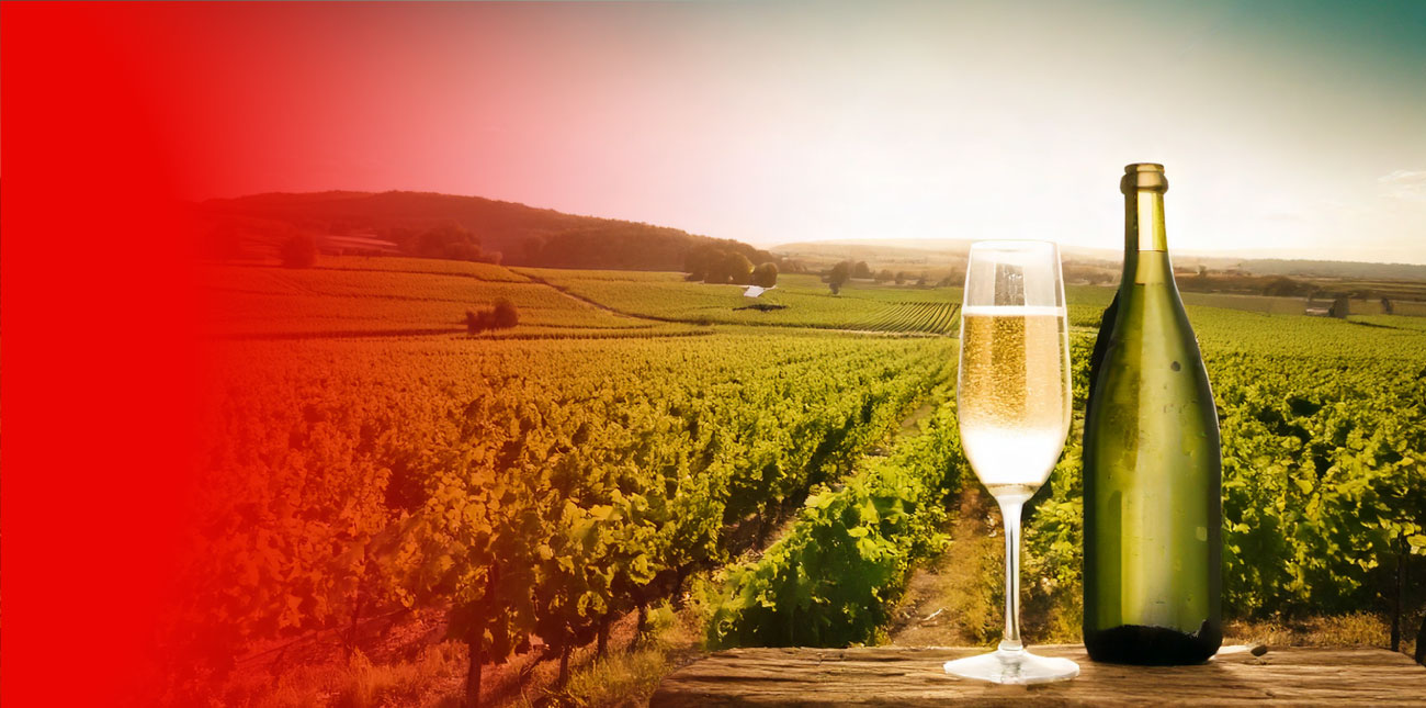 au fil de la degustation champagne