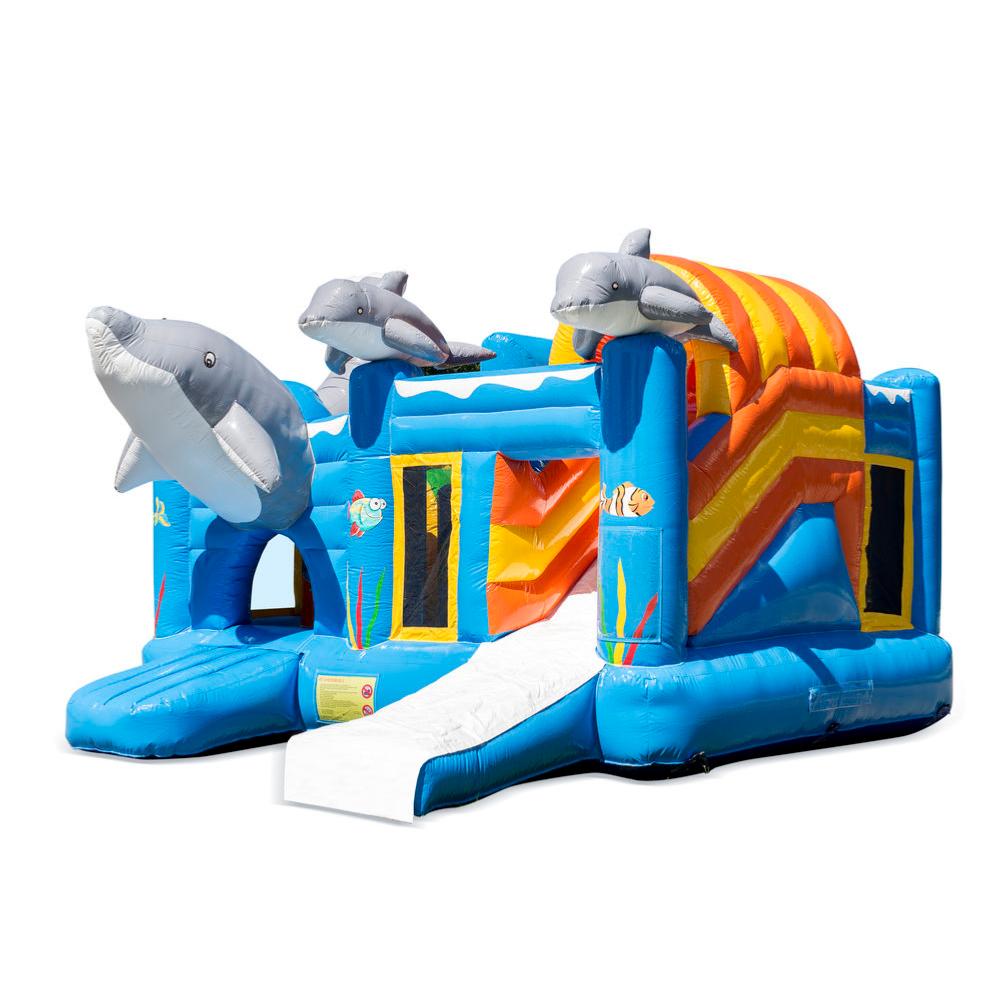 Multiplay-DAUPHINS-zoom