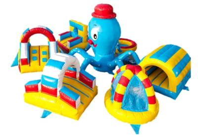 PIEUVRE GONFLABE