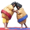 Sumo-ENFANT-zoom