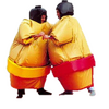 Sumo-PRO-zoom