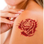 tatou-rose-zoom