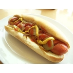 hotdog1-zoom