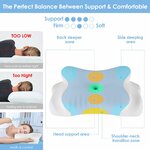 Dreamhigh® Oreiller Memoire Forme 2 en 1, Soulagement Efficace des Douleurs, Oreiller Ergonomique pour Côté, Dos & Ventre, 2