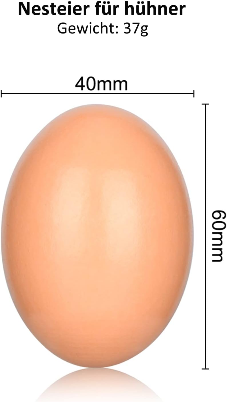 51Tg3FNqn+L._AC_SL1500_