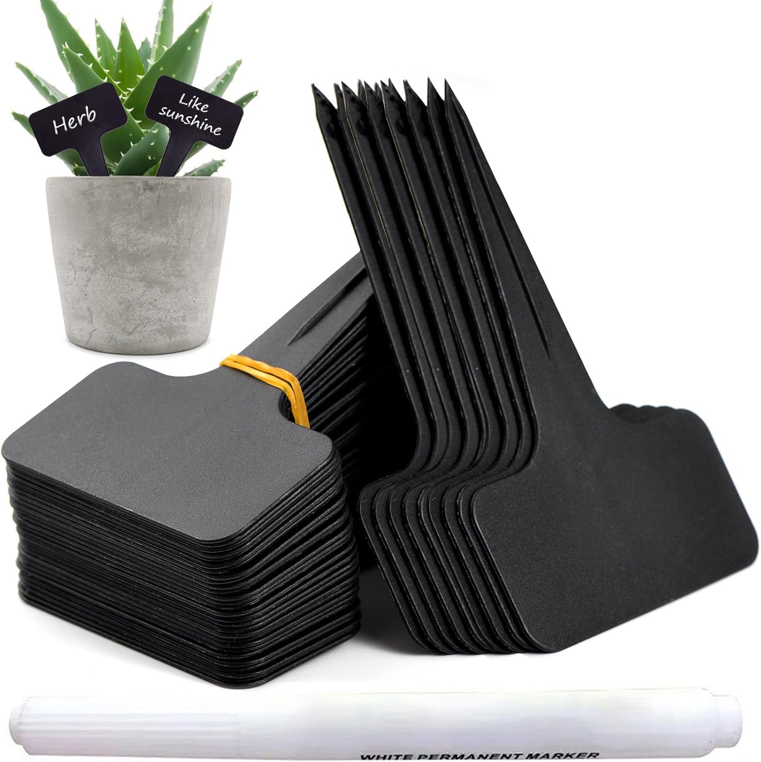 71olTixgfyL._AC_SL1500_