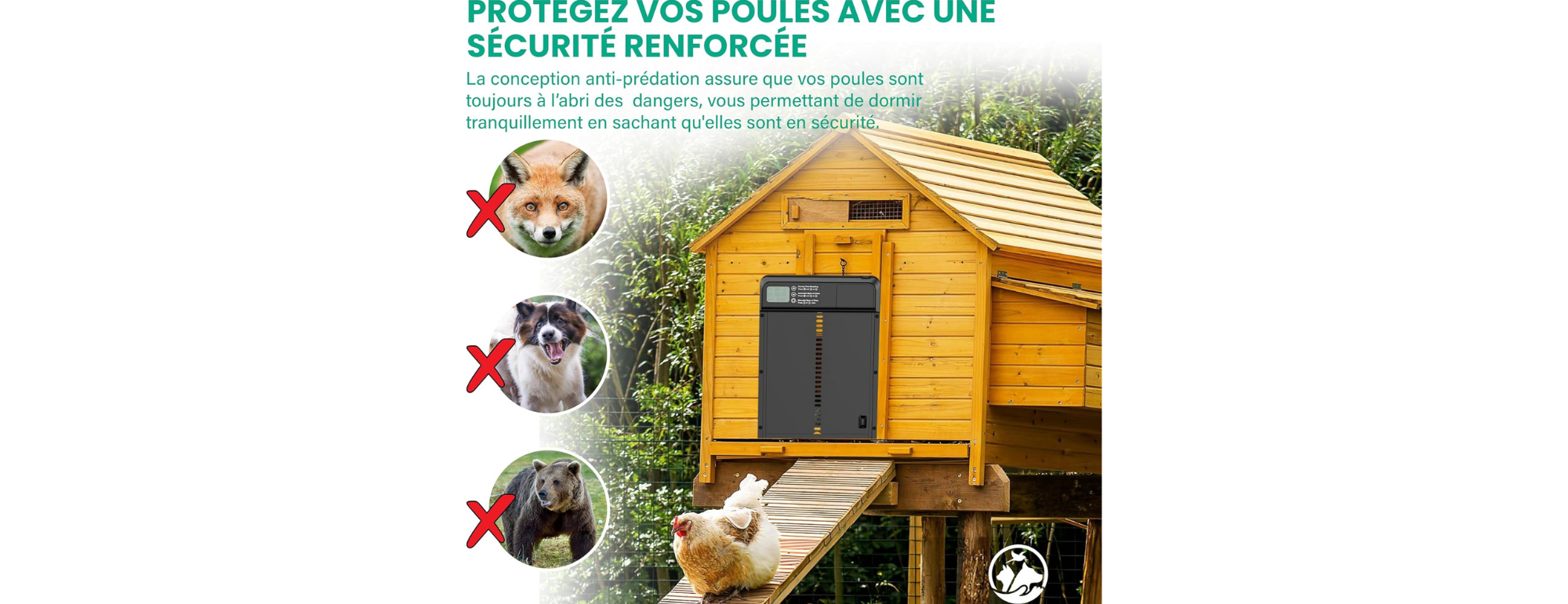 design sans titre