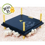 81hjIC83nML._AC_SL1400_