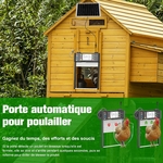 81W2Dv+C5kL._AC_SL1500_