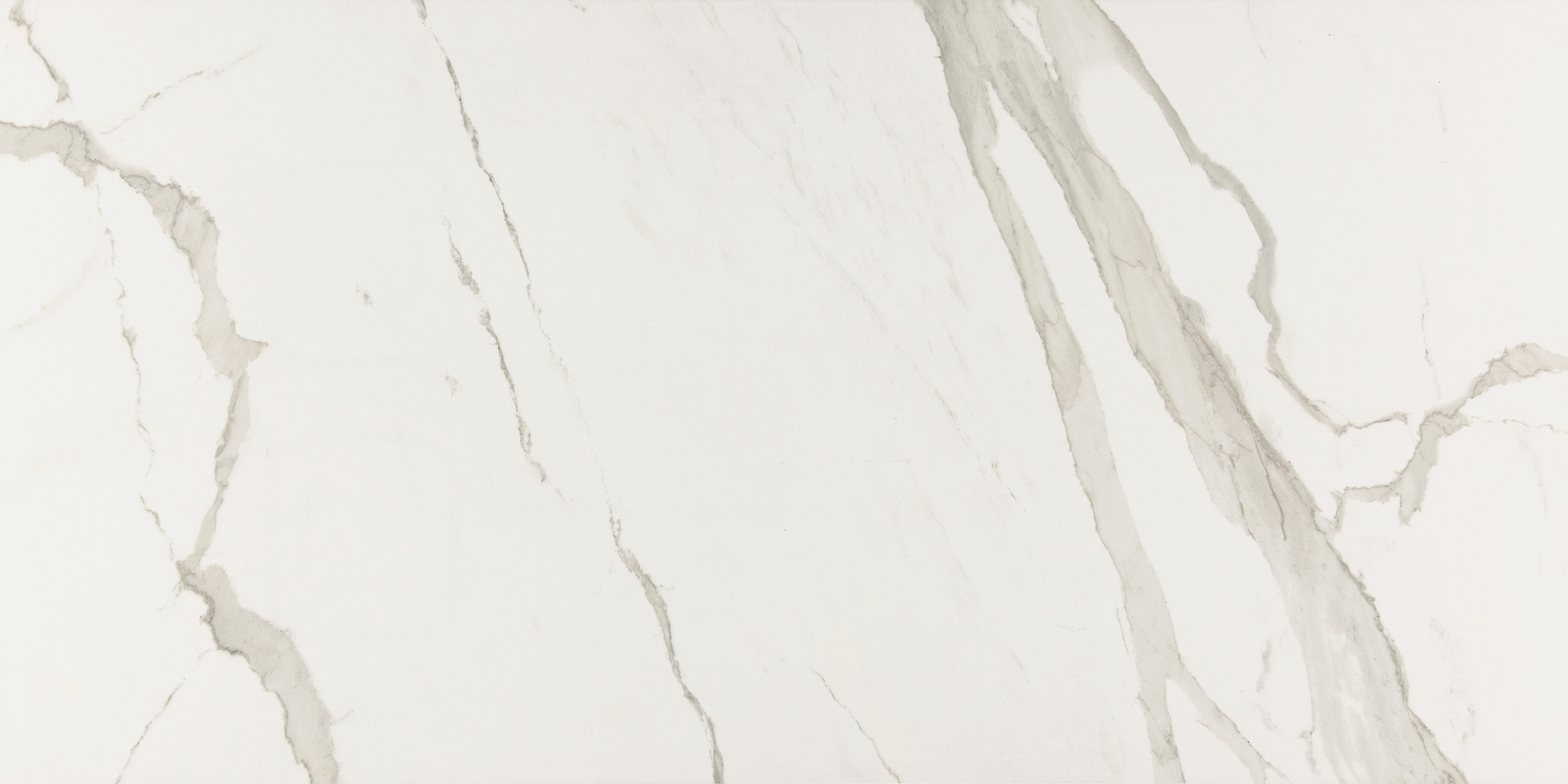 ALBATROS_60X120_(3)