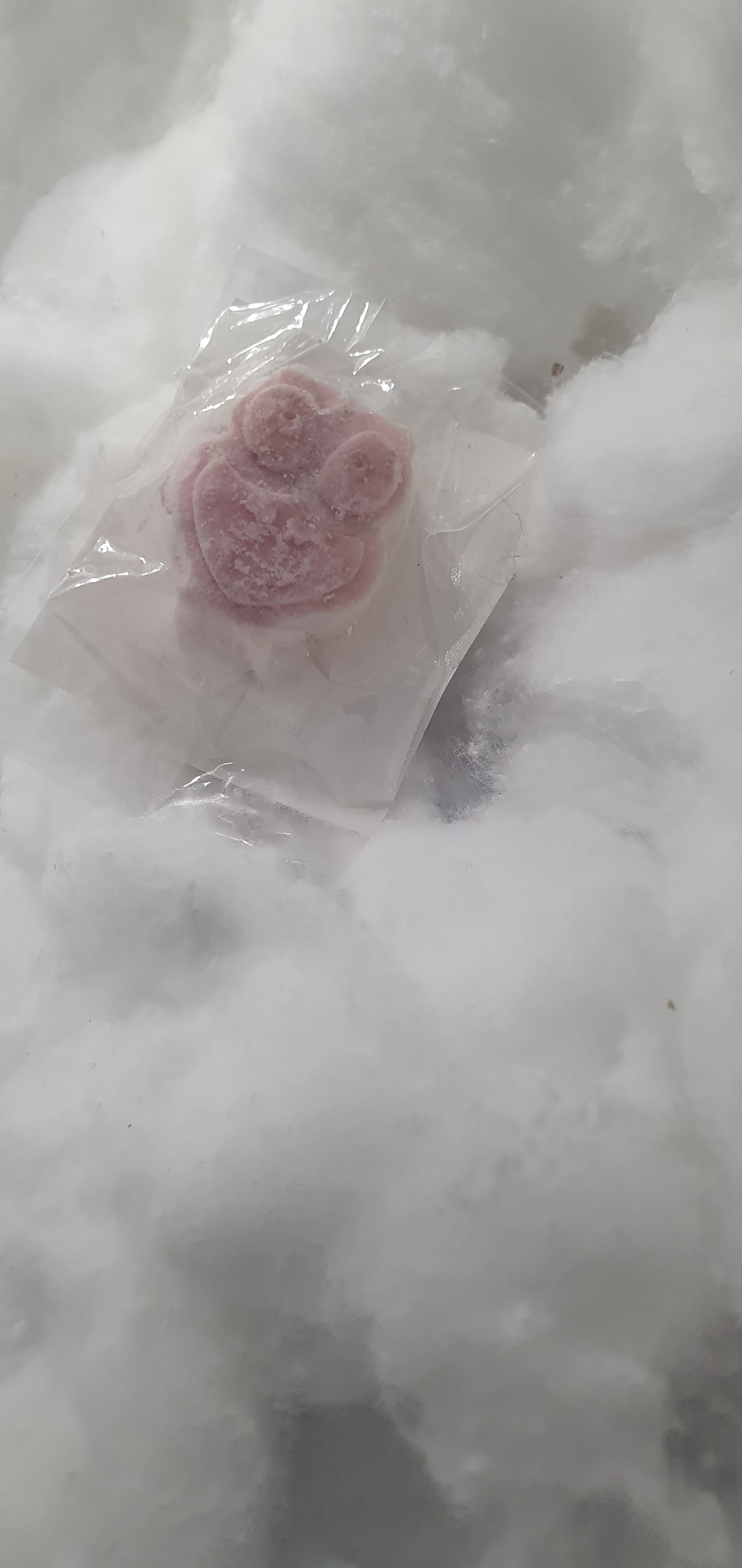 20250323_092035