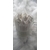 81248538-e34c-4985-a8ee-06fdda76fd63