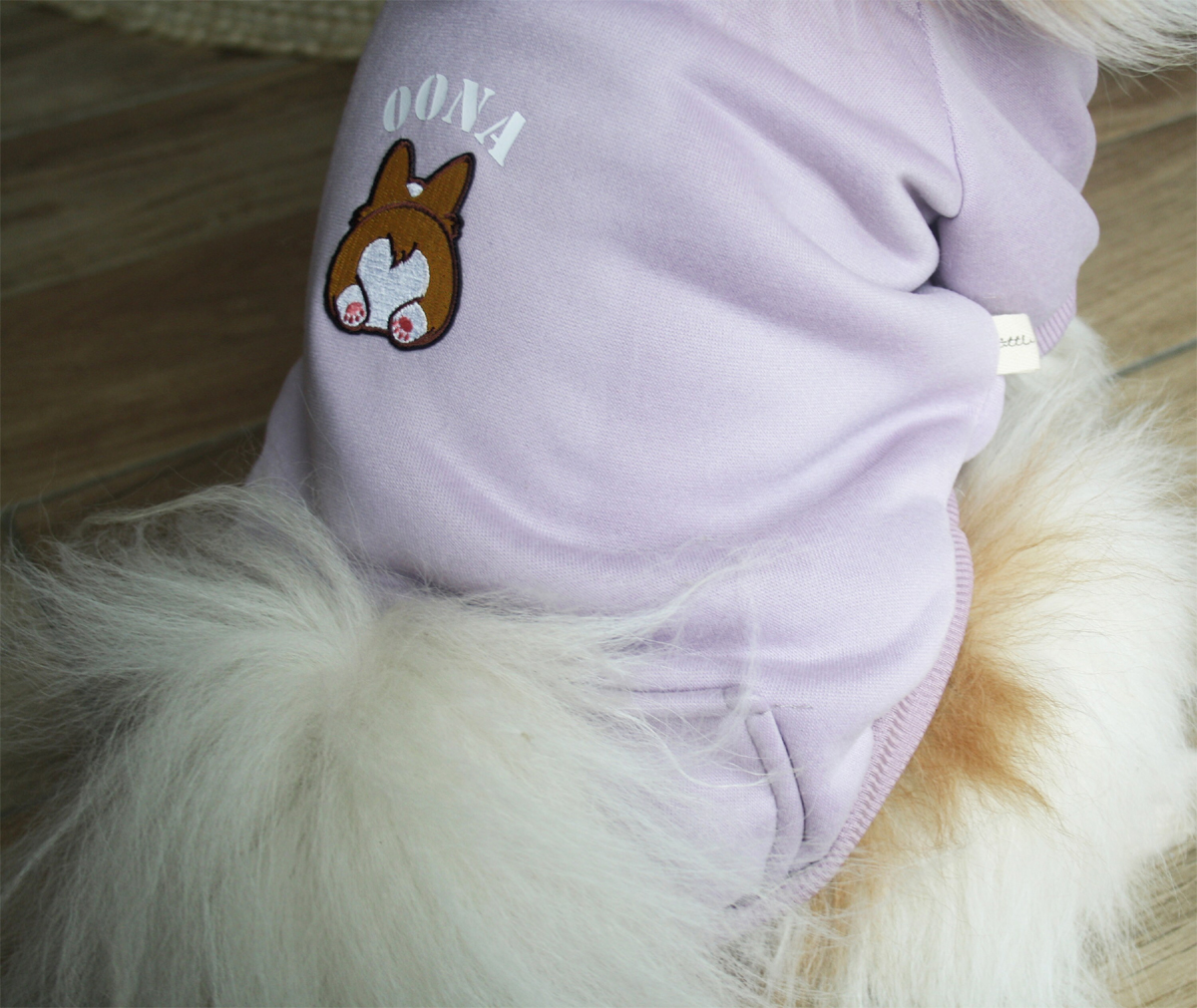 pull chien prénom