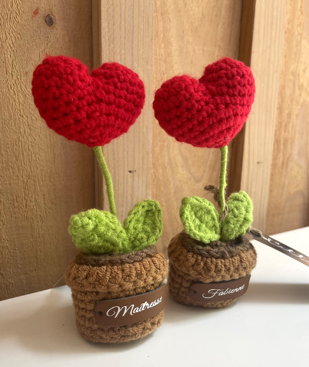Coffret Cadeau D'encouragement Positif - Comprend Une Petite Plante En Peluche Au Crochet, Un Porte-clés Et Une Carte Avec Fleurs Séchées