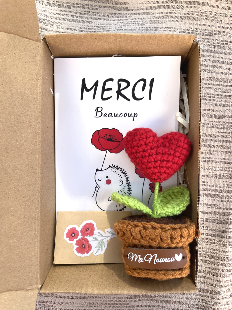 presentation-coffret-cadeau-fin-annee-maitresse-nounou-atsem-fleur-crochet