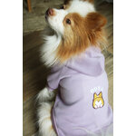 pull à capuche avec prénom pour petit chien