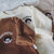 sweat kiki marron creme beige