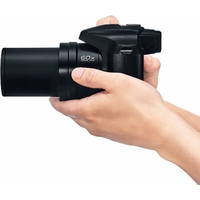 Panasonic Lumix FZ82D-3