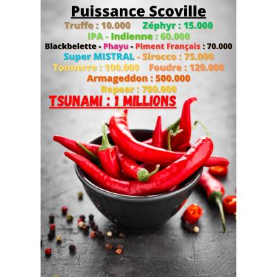 Echelle-Scoville-big