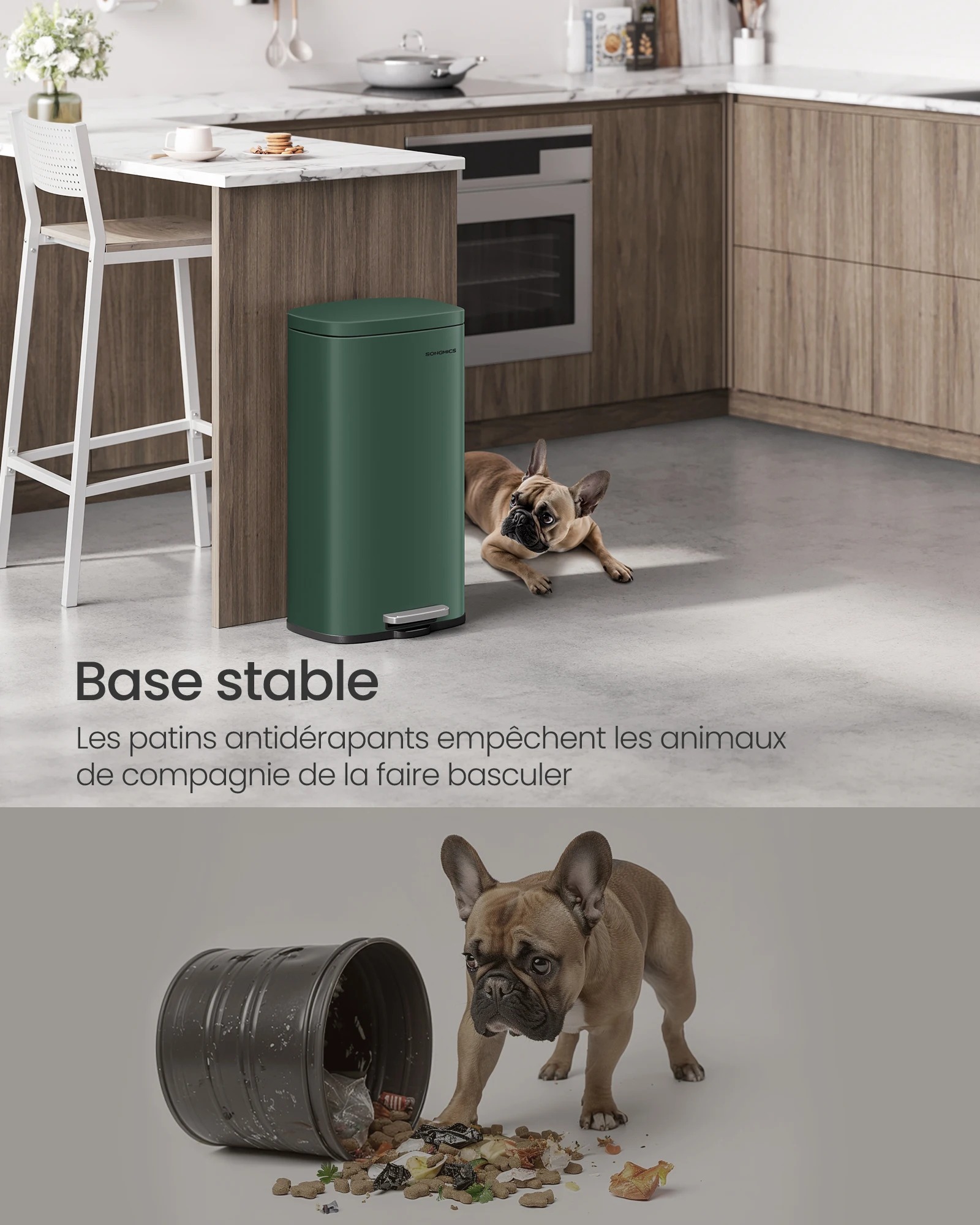 main-image-3