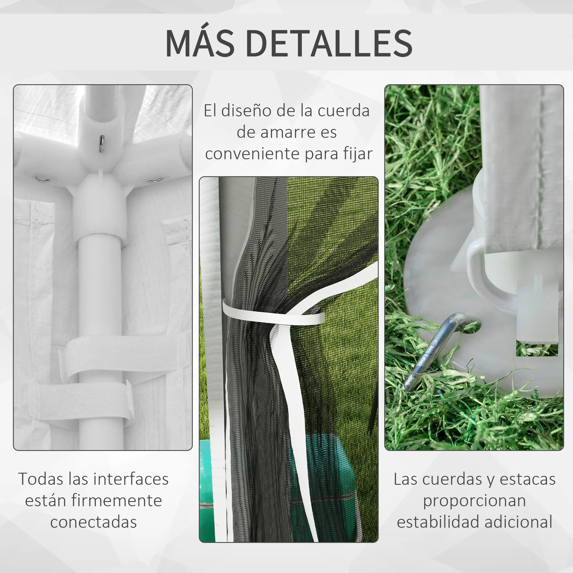 main-image-6