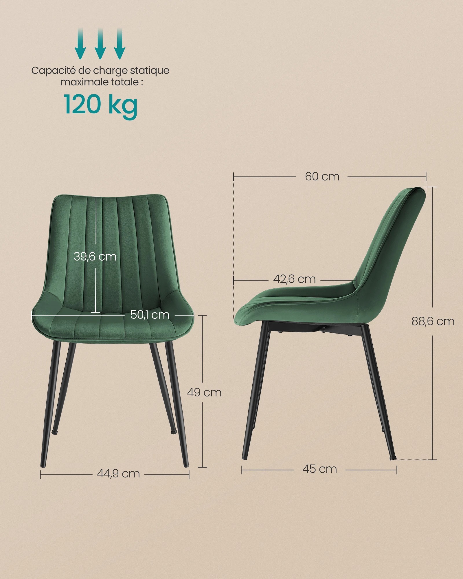 main-image-5