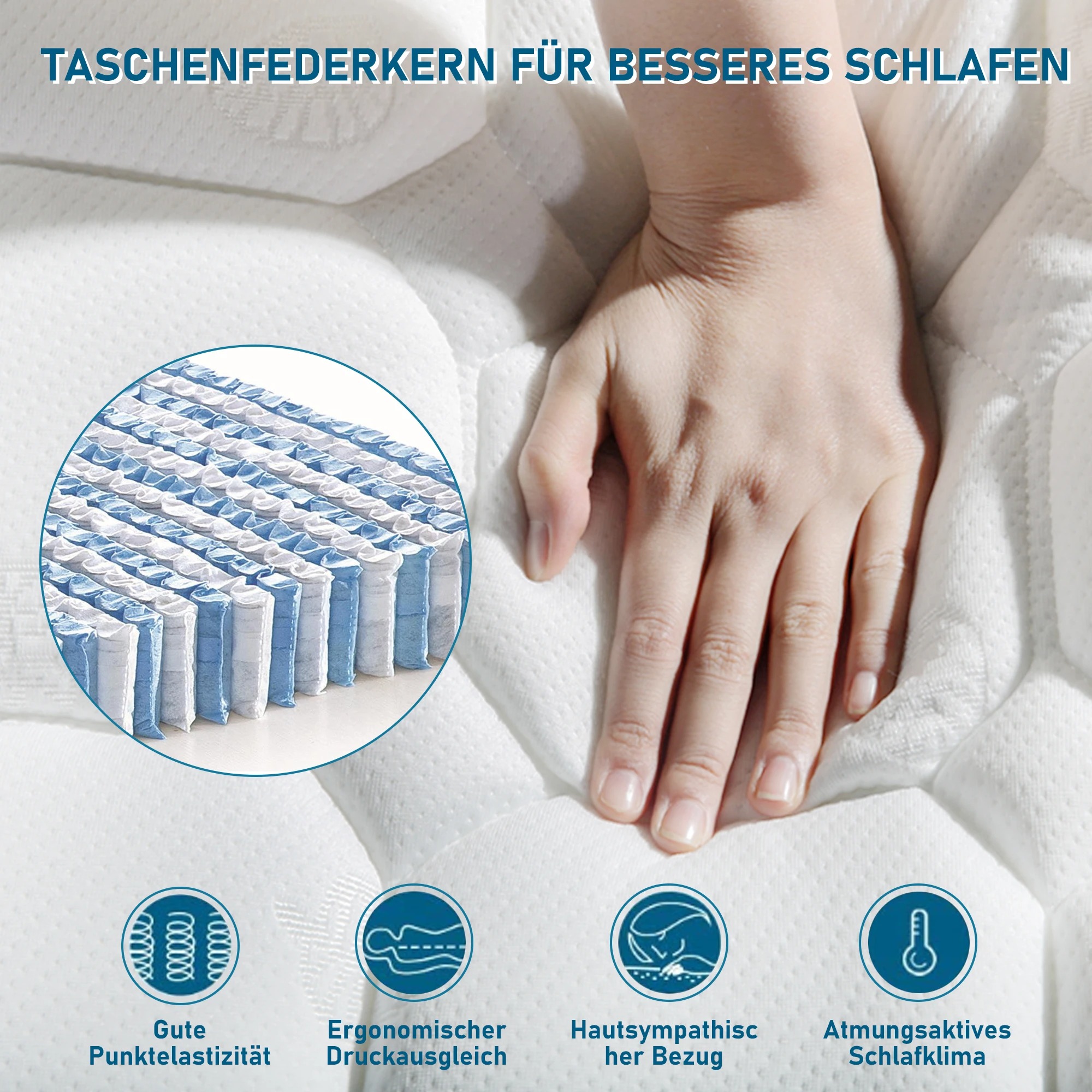 main-image-5