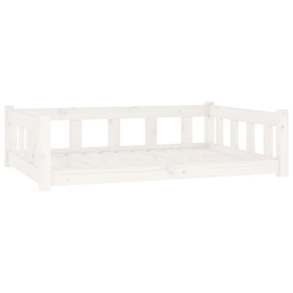 main-image-2
