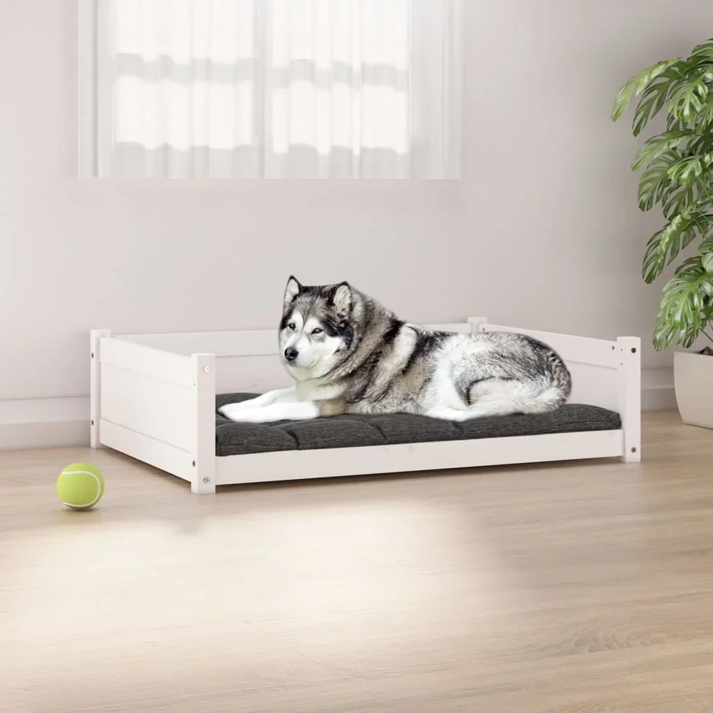 description-image-1