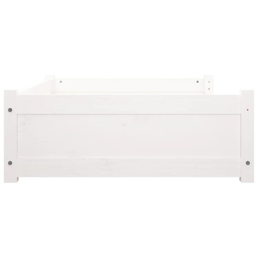 main-image-6