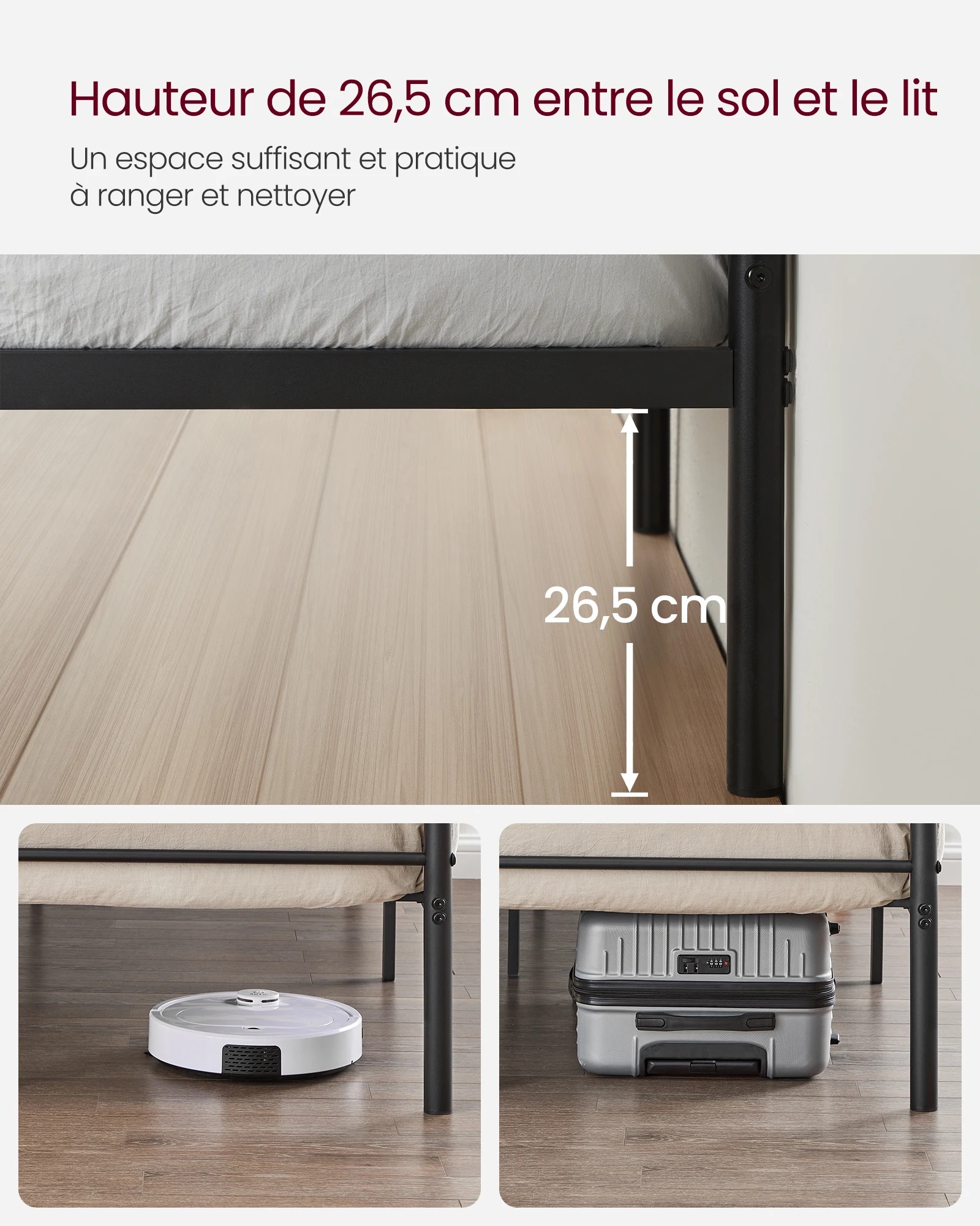 main-image-3