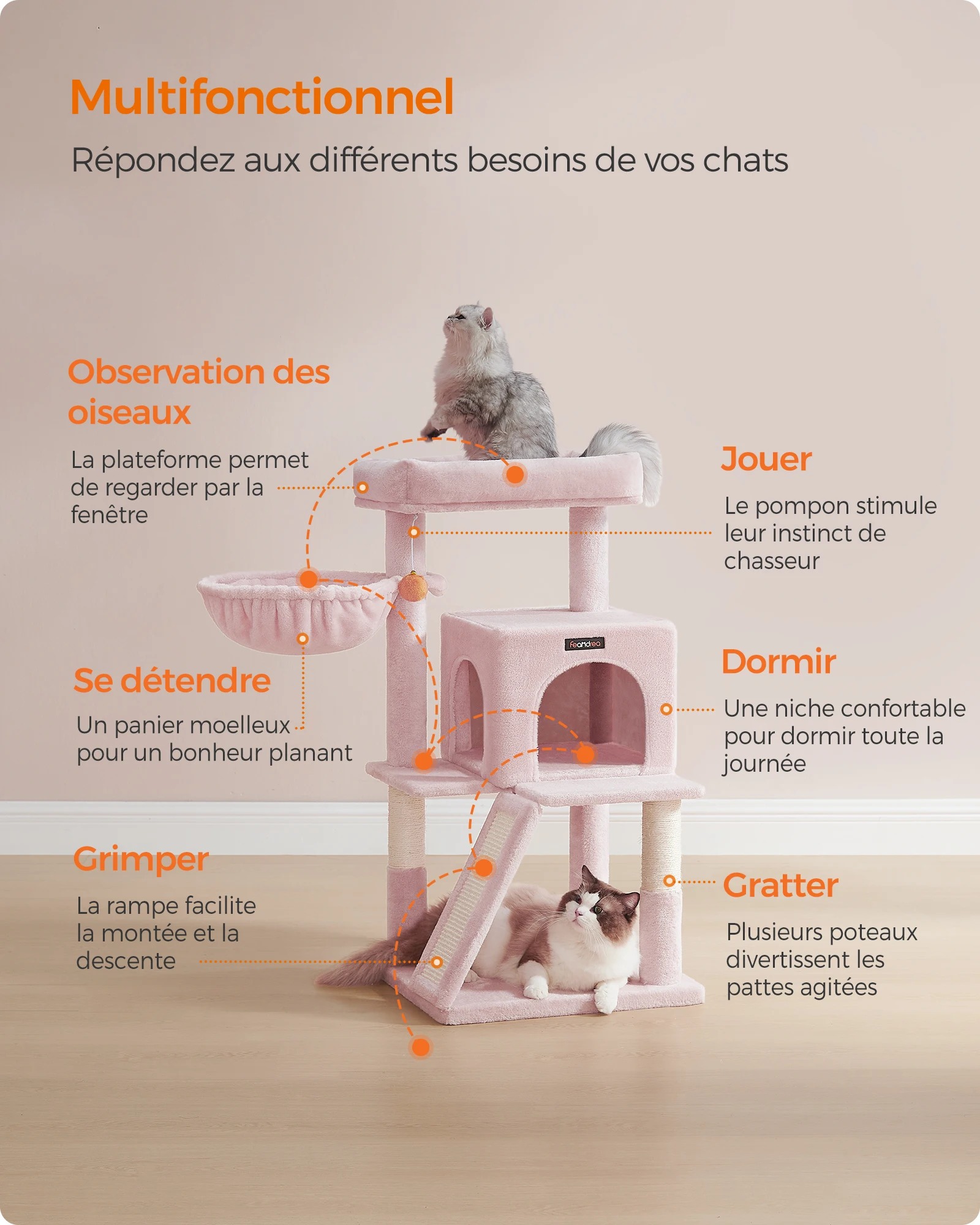 main-image-3 (1)