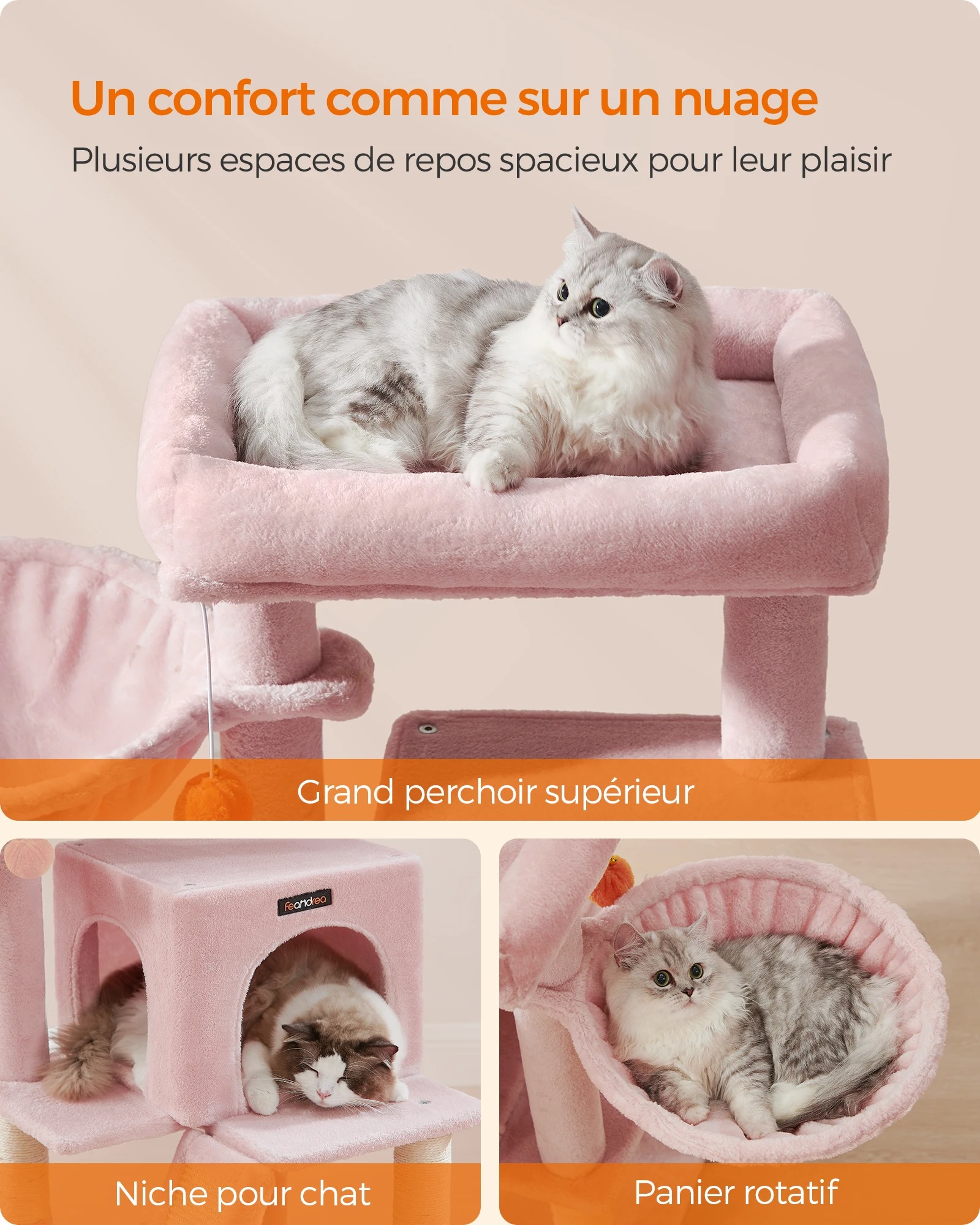 main-image-4 (1)