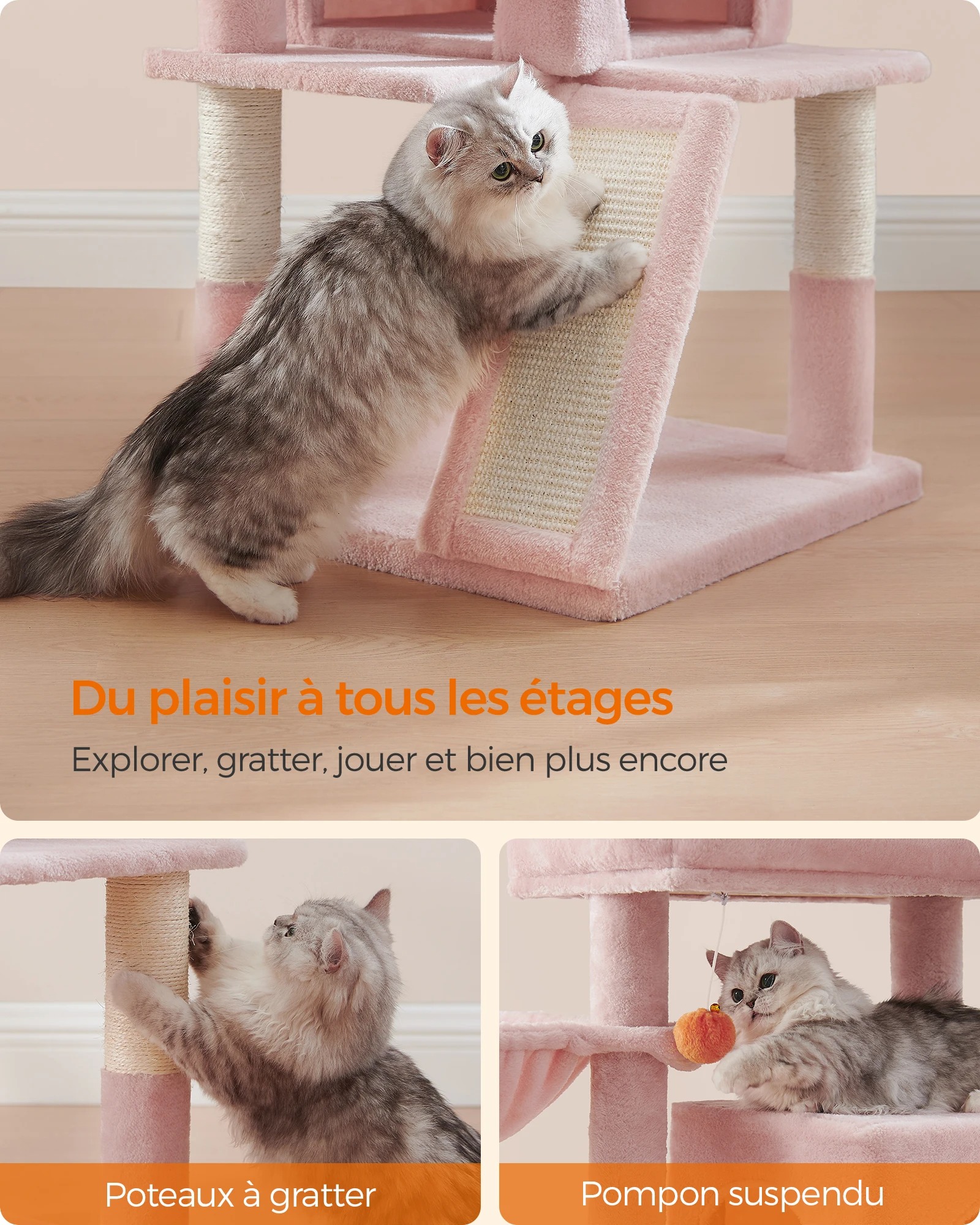 main-image-5 (1)