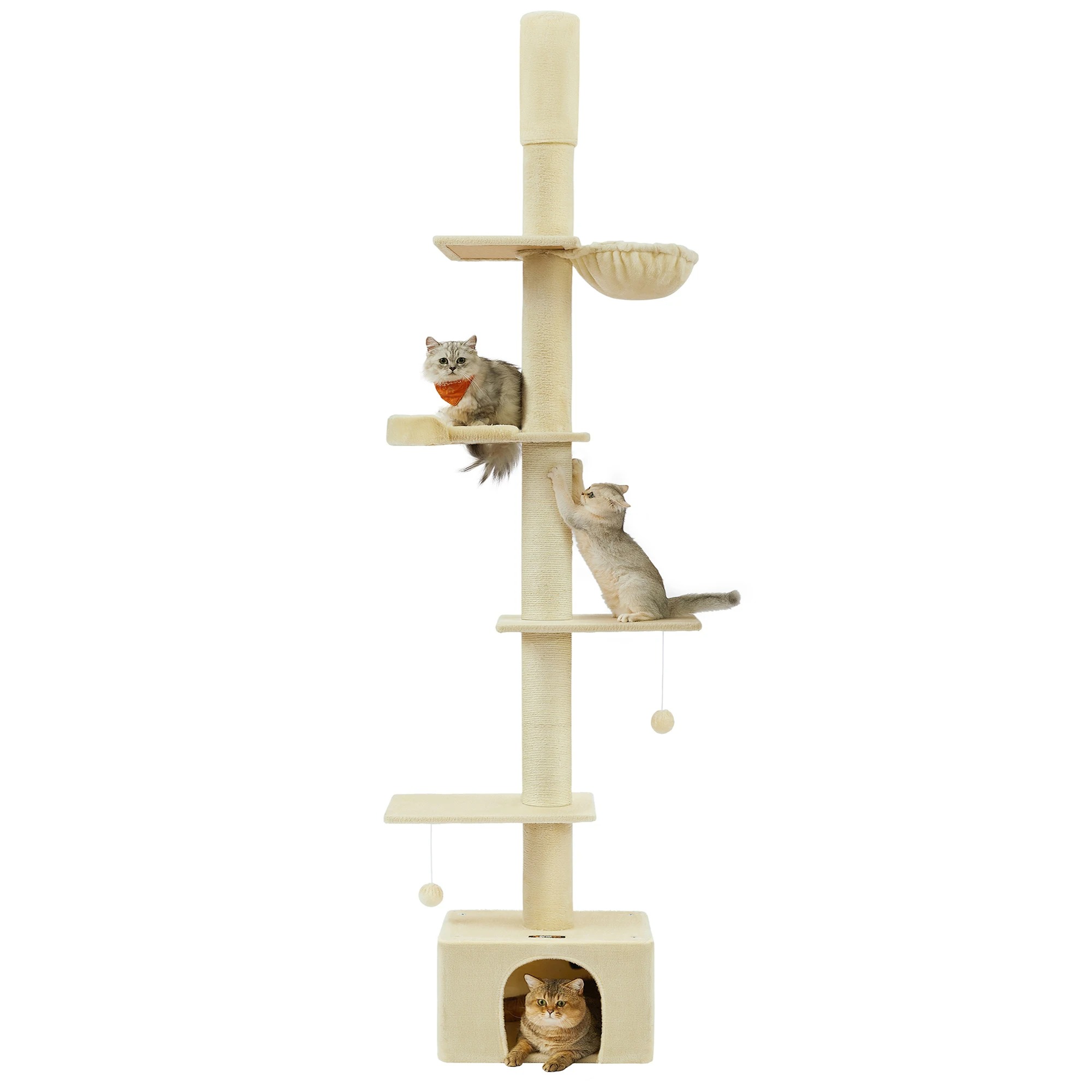 main-image-6
