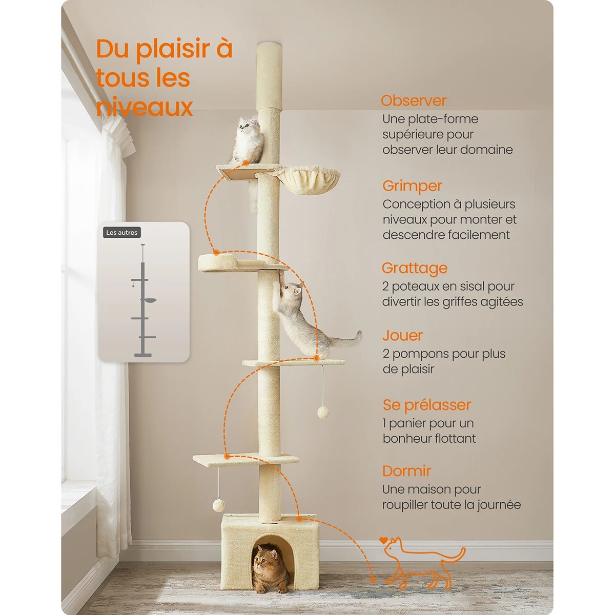 main-image-3