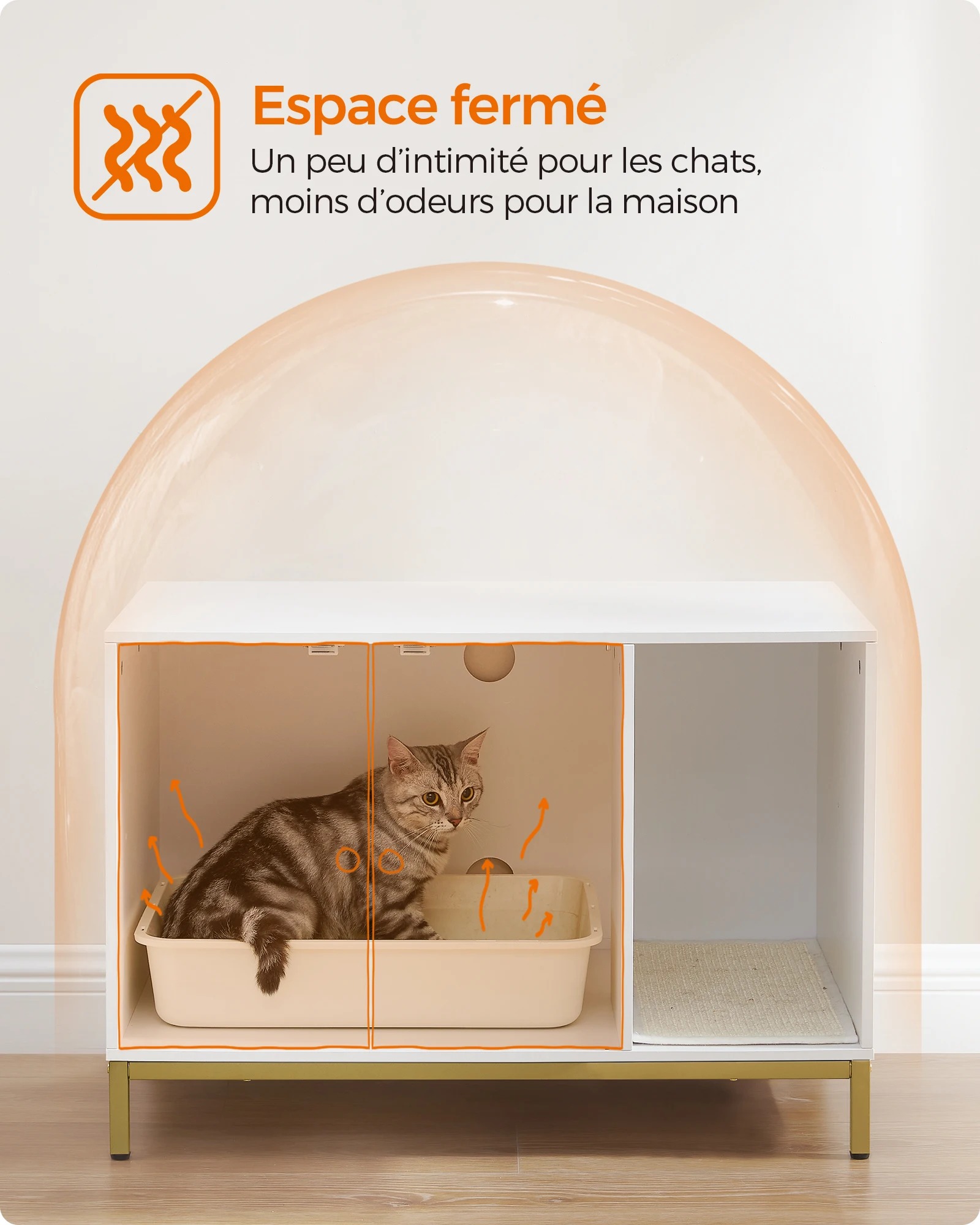 main-image-4 (1)
