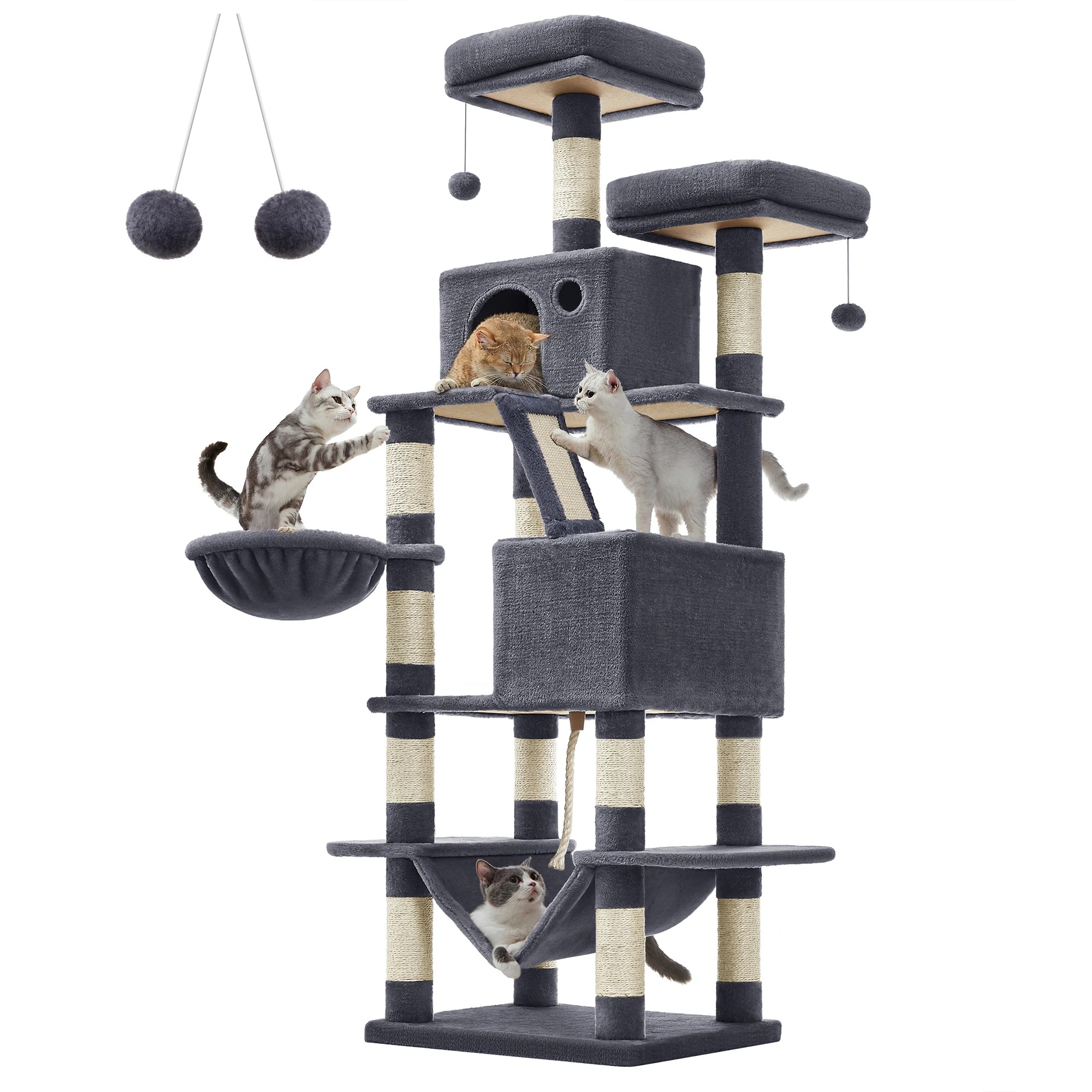 main-image-8