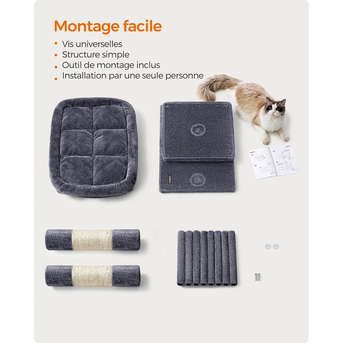 main-image-3