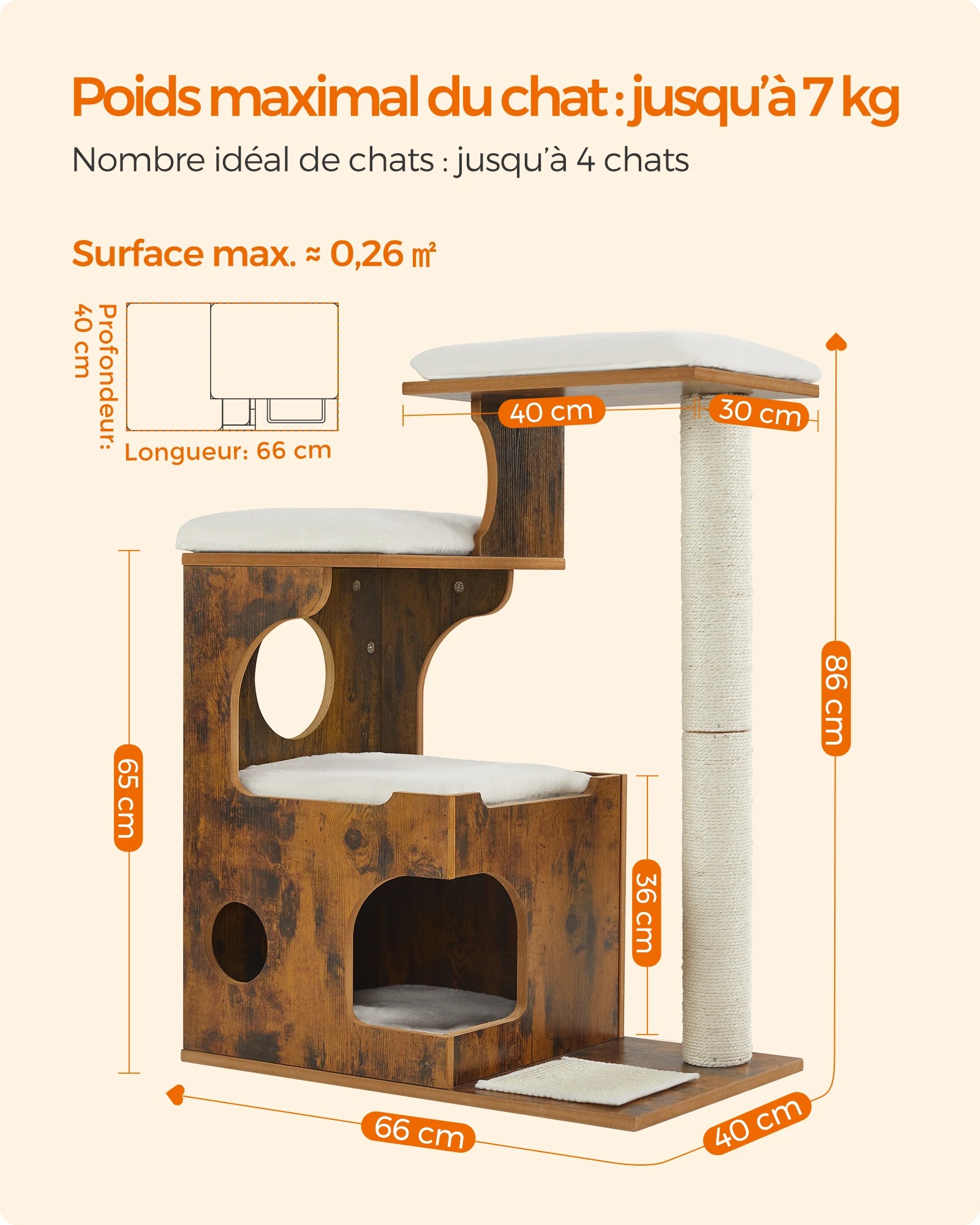 main-image-5