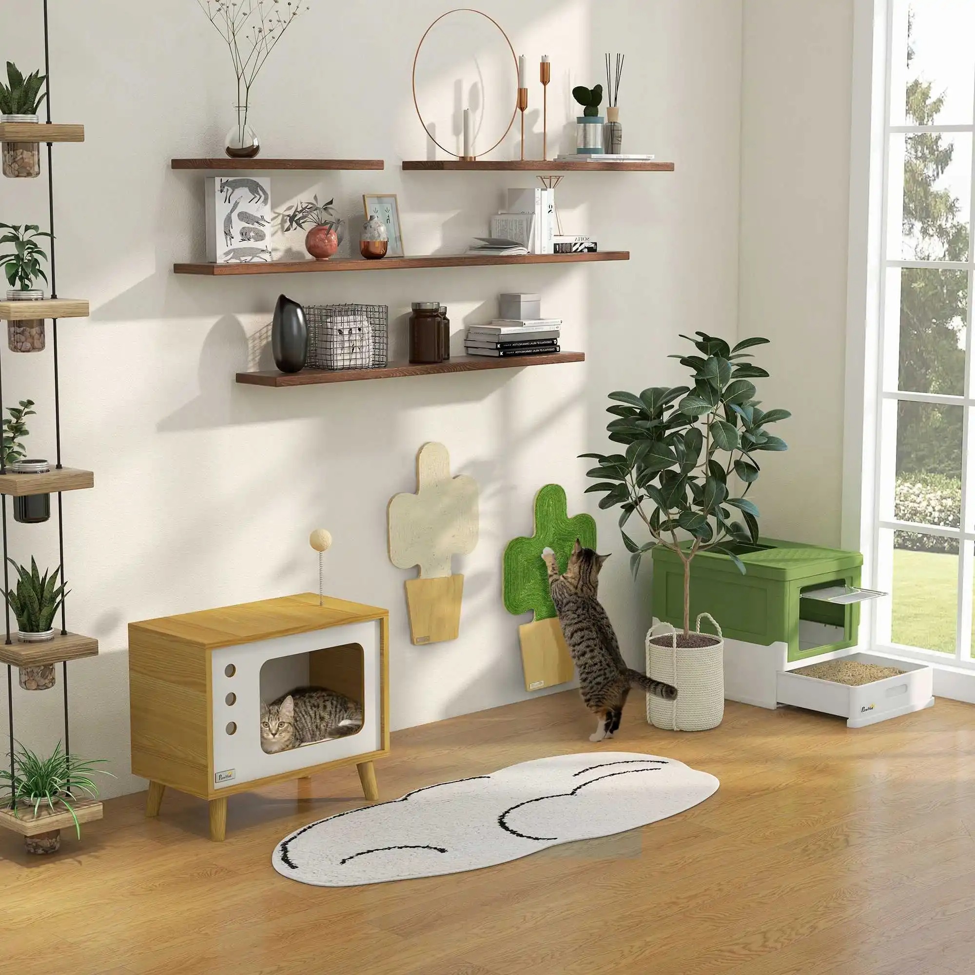 main-image-3