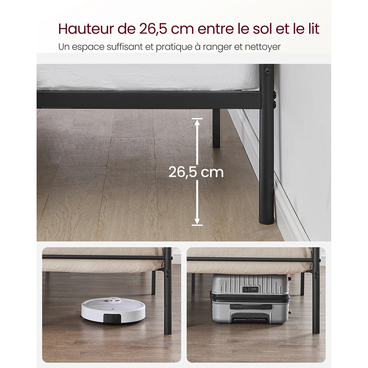 main-image-4