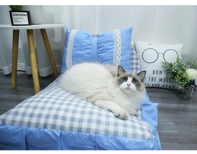 description-image-11
