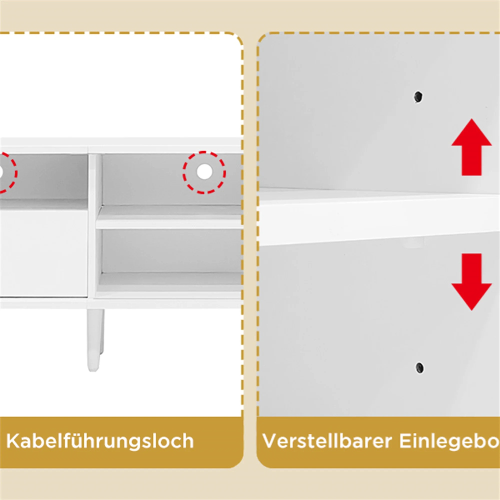 main-image-5