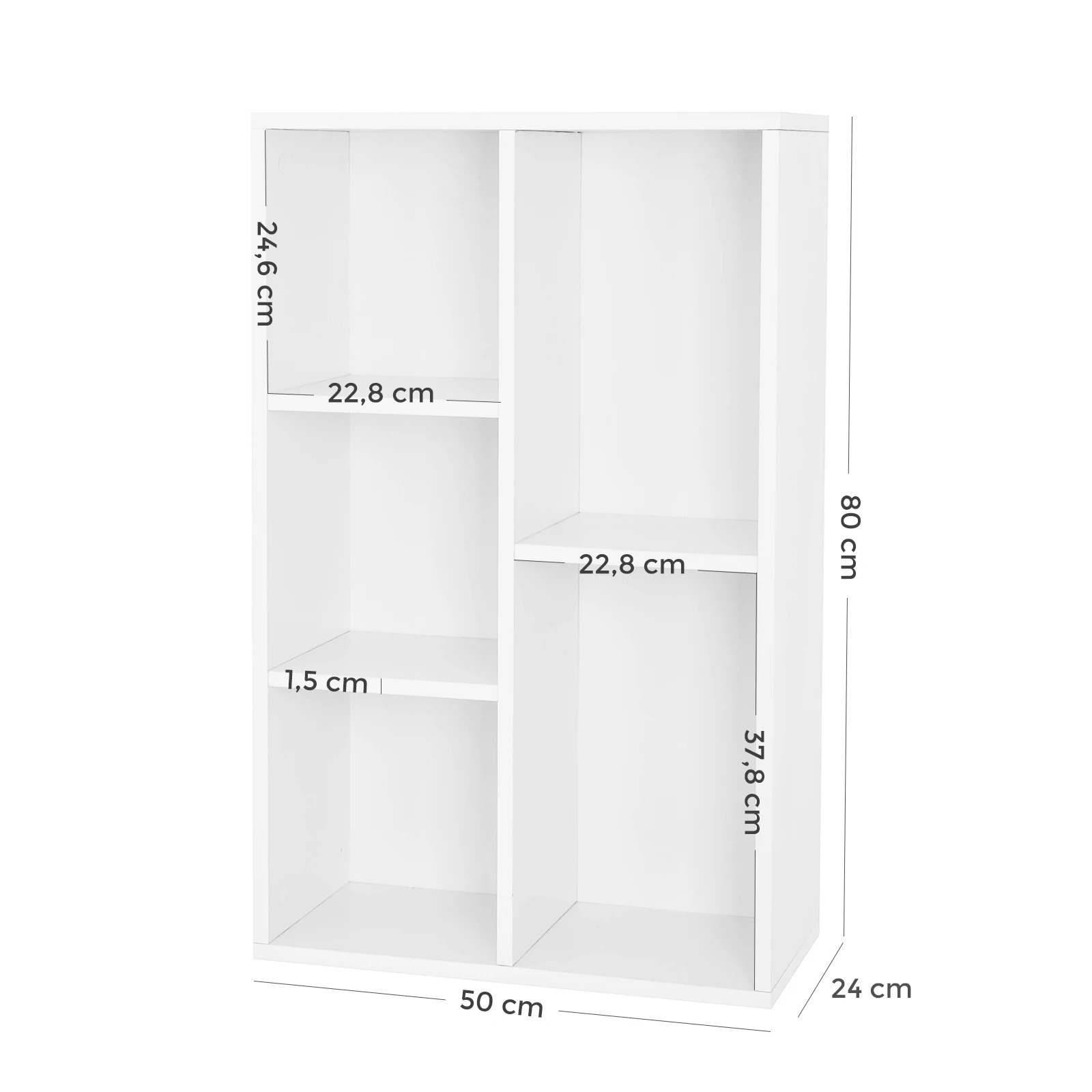 main-image-6