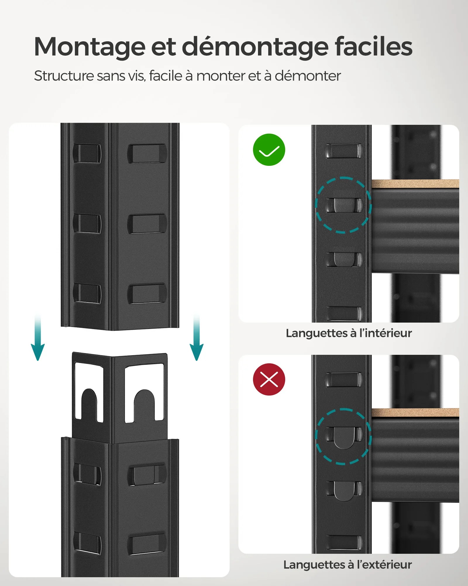 main-image-5