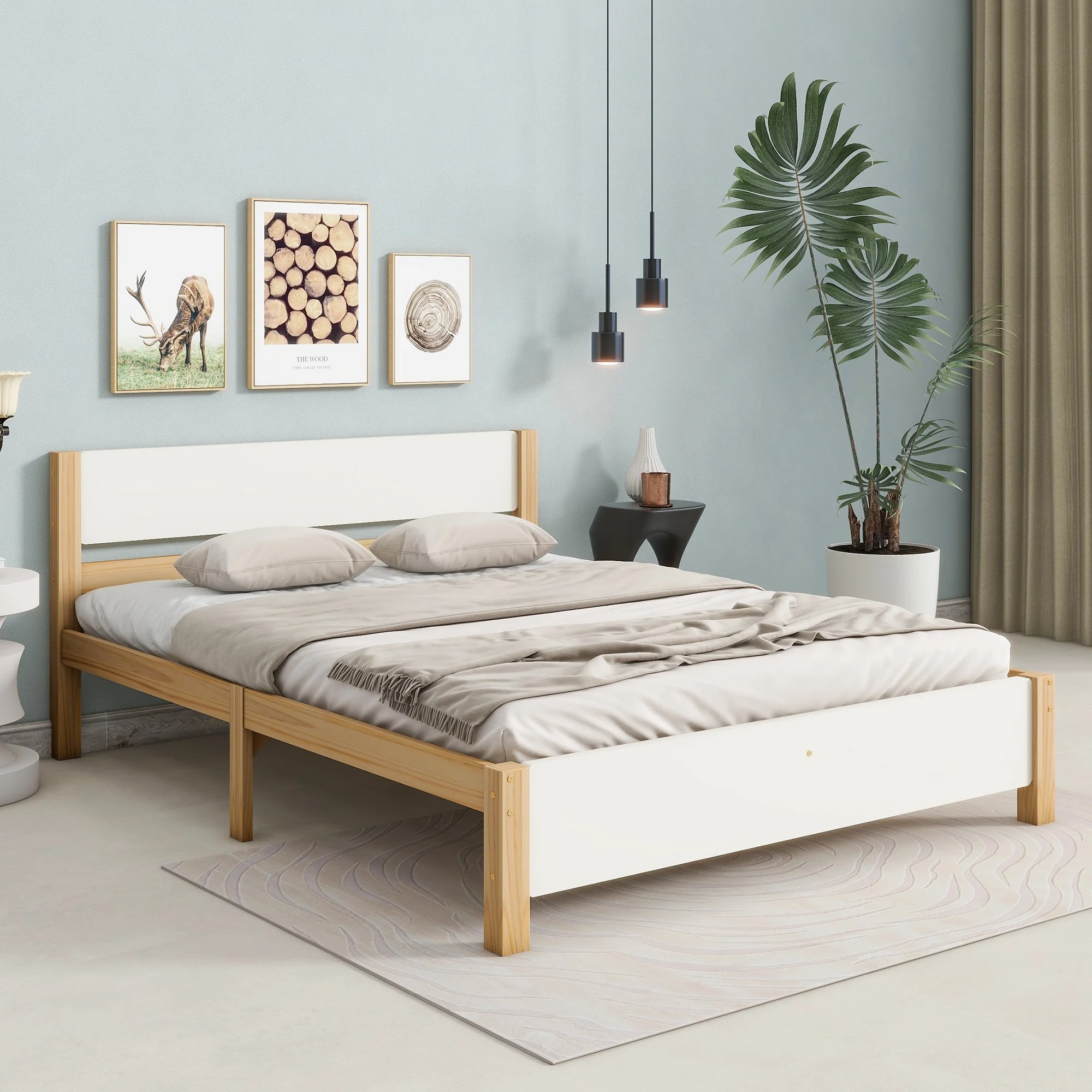 main-image-1 (1)