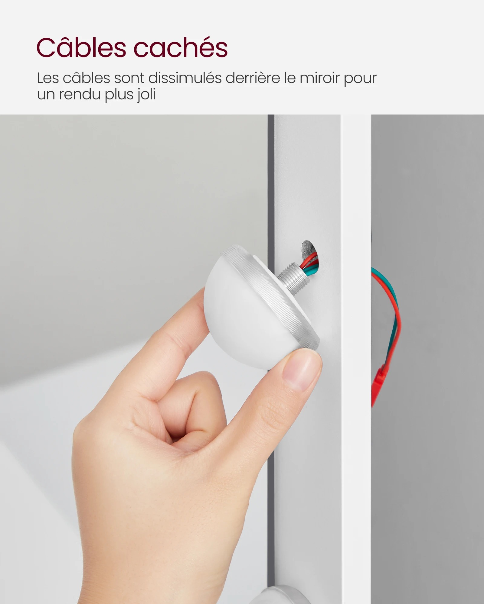 main-image-4